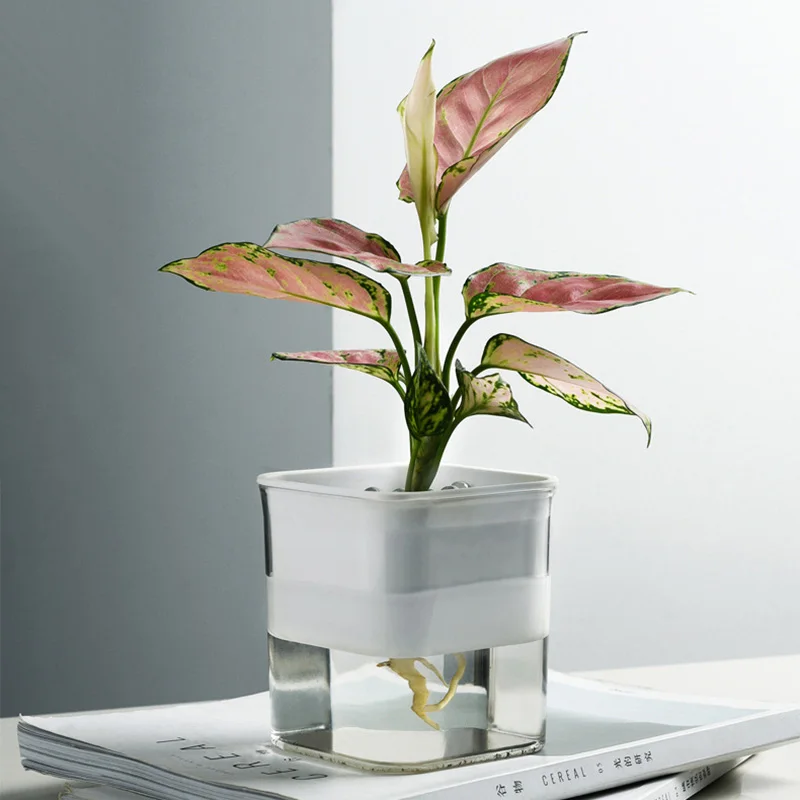 

Self Watering Planter Flower Pots with Automatic Irrigation System Modern Decorative Gardening Pots for Indoor Plants TRYC889