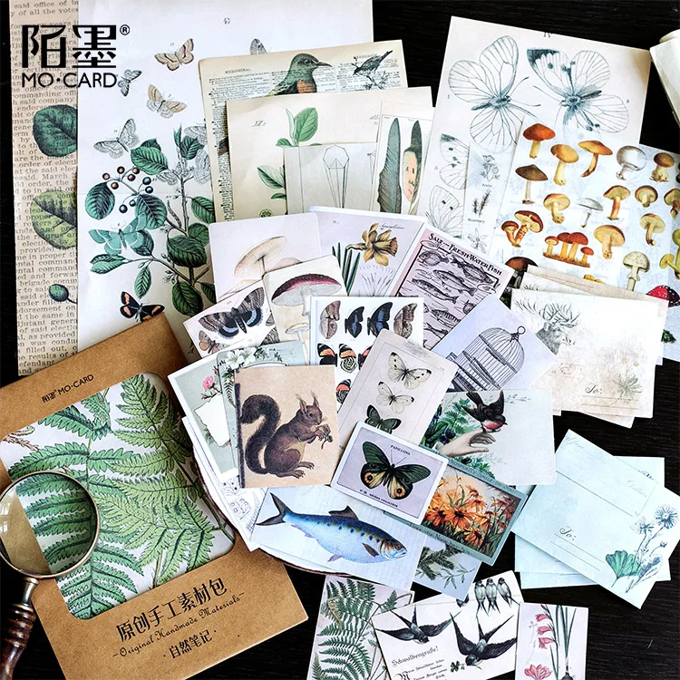 

1pack Vintage Plant Illustration Sticker MixDIY Junk Journal Diary Scrapbooking Deco Background Paper Material Sticker Aesthetic