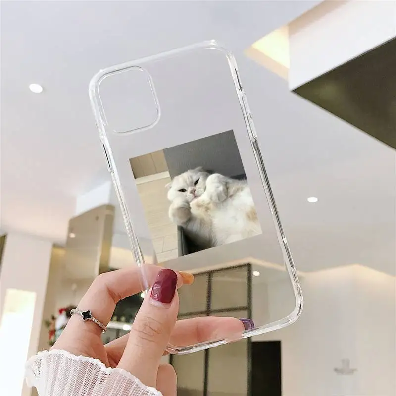 

cute cat Phone Case Transparent soft For iphone 5 5s 5c se 6 6s 7 8 11 12 plus mini x xs xr pro max