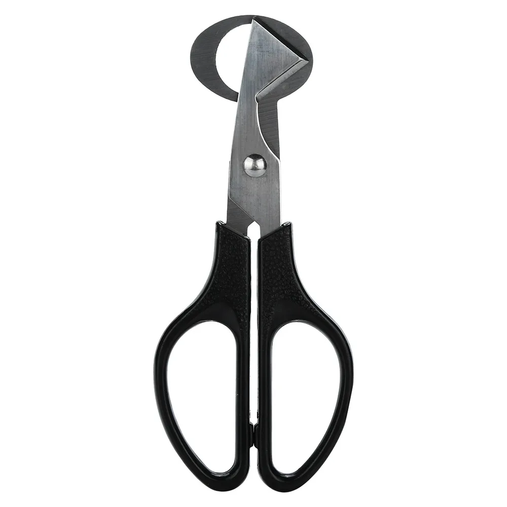 Pigeon Quail Egg Scissors Cracker Opener Cigar Cutter Stainless Steel Tool | Дом и сад