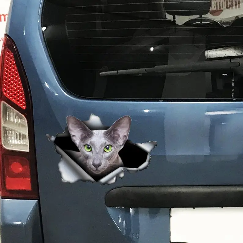 

2021 Oriental cat car decal , oriental cat magnet, grey oriental cat sticker