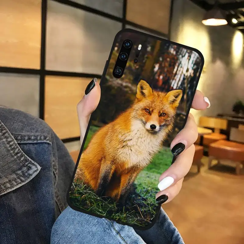 

Fox cute animal Phone Case For Huawei Y5 Y6 II Y7 Y9 PRIME 2018 2019 NOVA3E P20 PRO P10 Honor 10