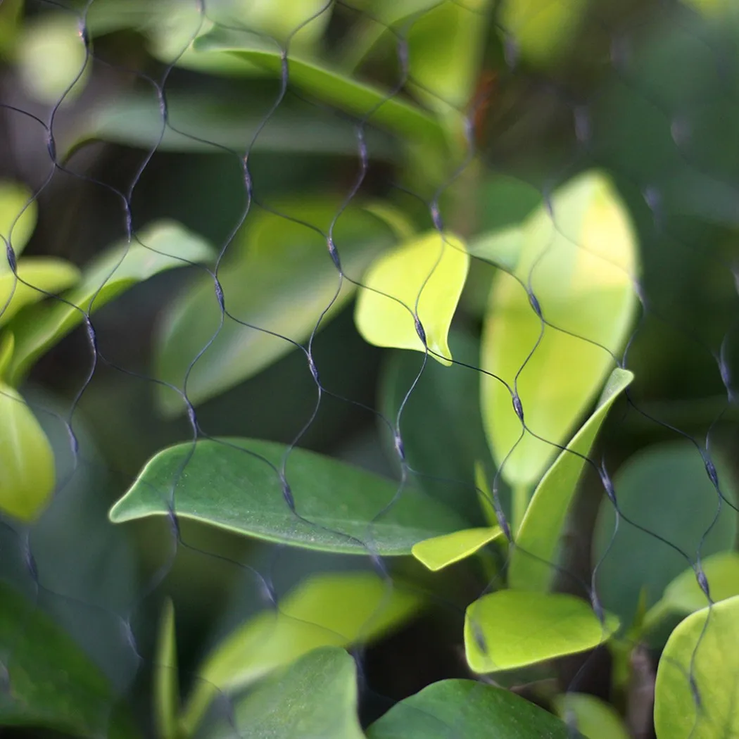 

Nylon Bird Net Pests Plants Pond Protect Protection Veg Vegetables 5*5M