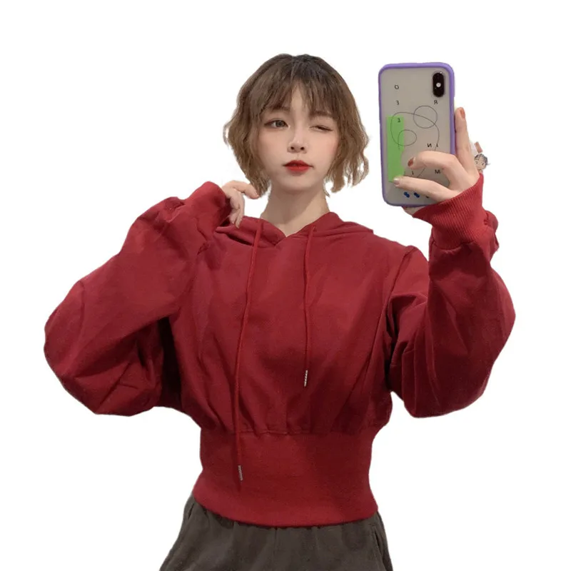 

Solid Hoodies Women Hooded Oversize Winter Autumn Pullovers Loose Long Sleeve Plus Size Hooded Sweatshirts Cute Harajuku 2020