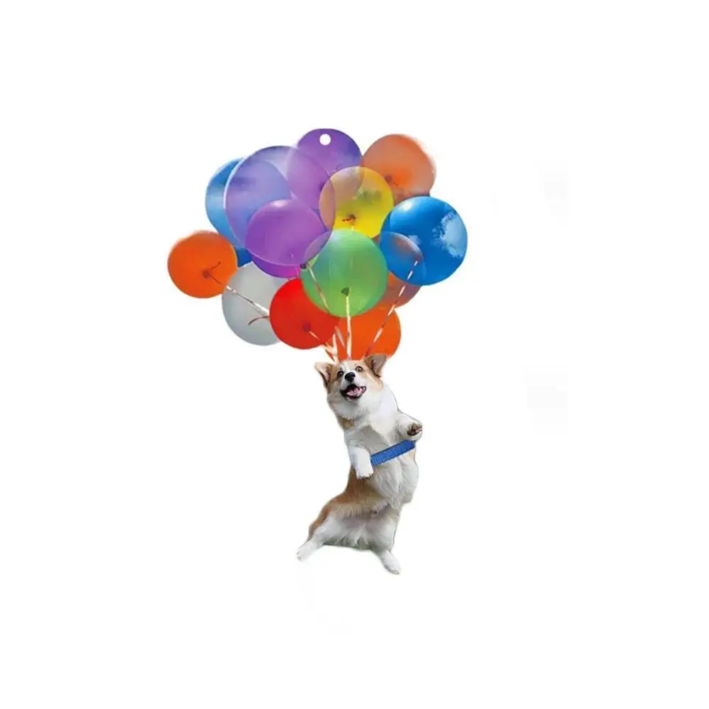 Креативное подвесное украшение для щенка с красочным воздушным шаром