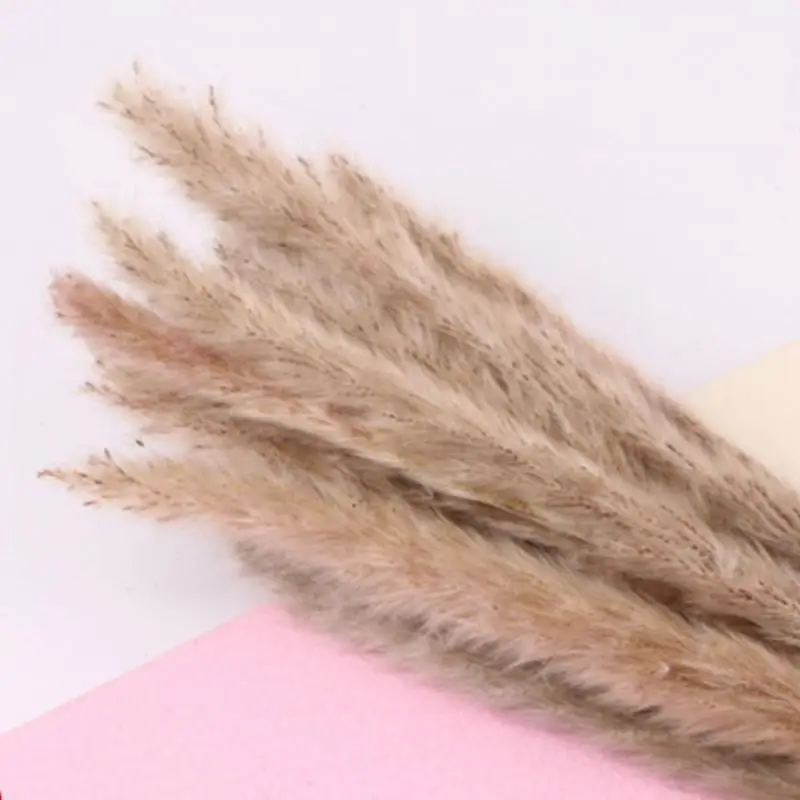 15 шт. прочные сушеные пампасы фрагмиты букет цветов свадебные букеты натуральные
