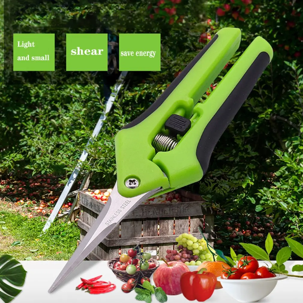 

Lightweight Garden Shears Garden Scissors Pruning Scissors Fruit Picking Durable Stainless Steel Material