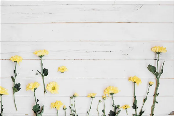 

SHENGYONGBAO Vinyl Custom Photography Backdrops Props Flower and Wood Planks theme Photo Studio Background 20212-5866