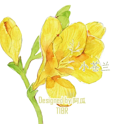 

5cm*100cm Floral Botany Washi Tape Freesia