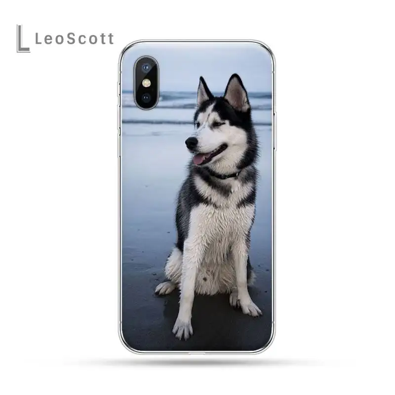 

Alaskan Malamute Siberian husky cute dog Phone Case For iphone 12 5 5s 5c se 6 6s 7 8 plus x xs xr 11 pro max mini