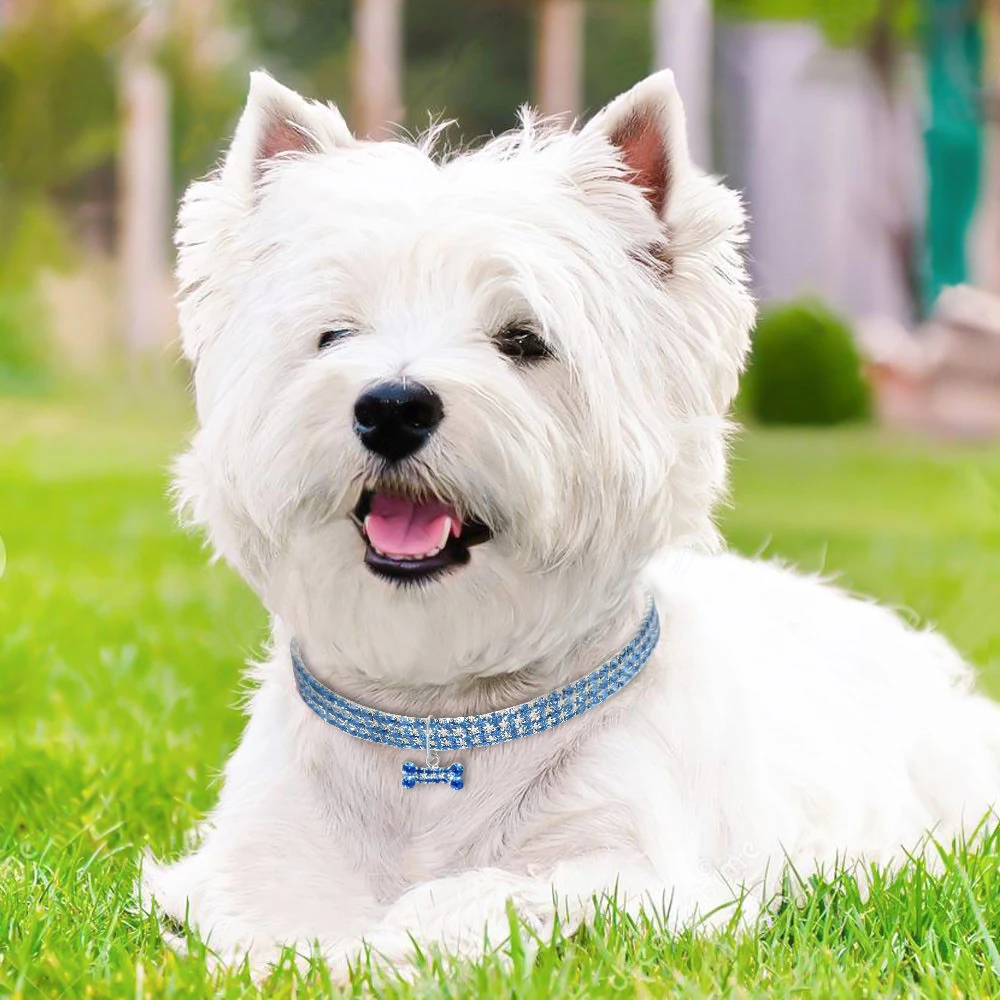 

Pet Necklace Dog Chain Cat Crystal Collar Small Dog Jewellery Necklace Chihuahua Accessories For Cat and Dogs Dress up Supplies