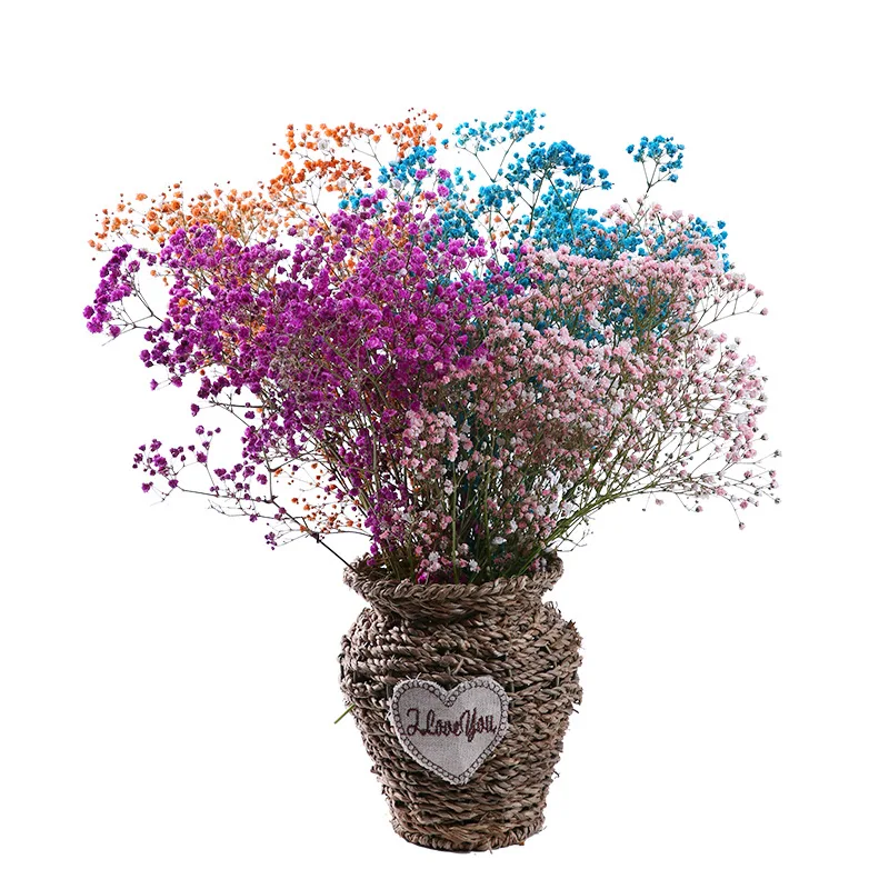 

Natural Preserved Dried Flowers Gypsophila Real Plant Stars Home Table Display Bouquet Baby's Breath Room Wedding Decoration