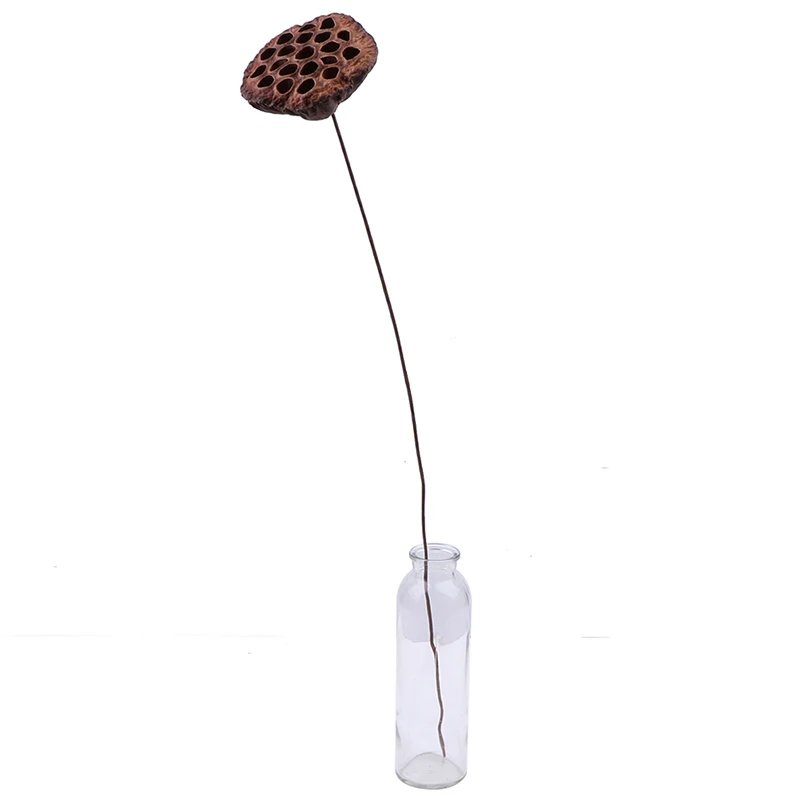 1 шт лотоса Натуральные сушеные цветы фермерский дом букет растения ветка