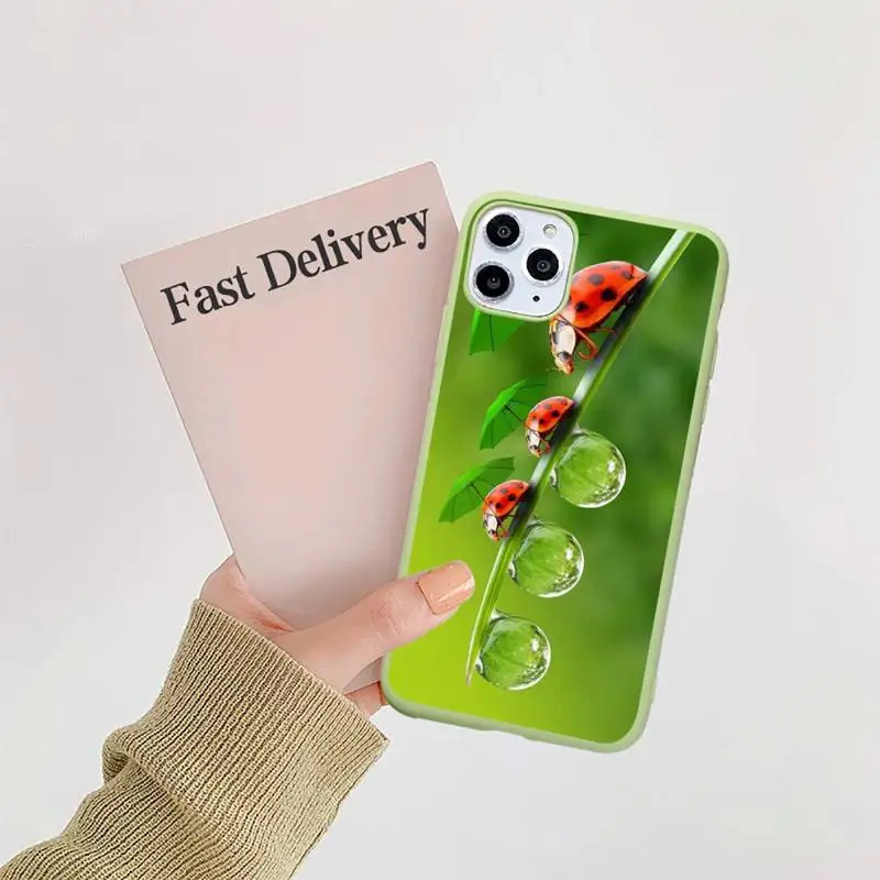 

flower leaf ladybug daisy Phone Case Candy Color for iPhone 11 12 mini pro XS MAX 8 7 6 6S Plus X 5S SE 2020 XR shell cover