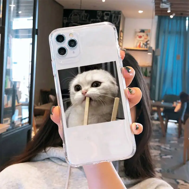 

Cute animal cat art design Phone Case Transparent for iPhone 6 7 8 11 12 s mini pro X XS XR MAX Plus