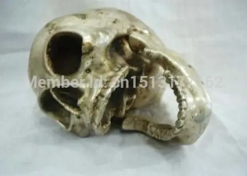 Китайская чудесная Серебряная голова Тибета с большим черепом DEATH'S HEAD NETSUKE