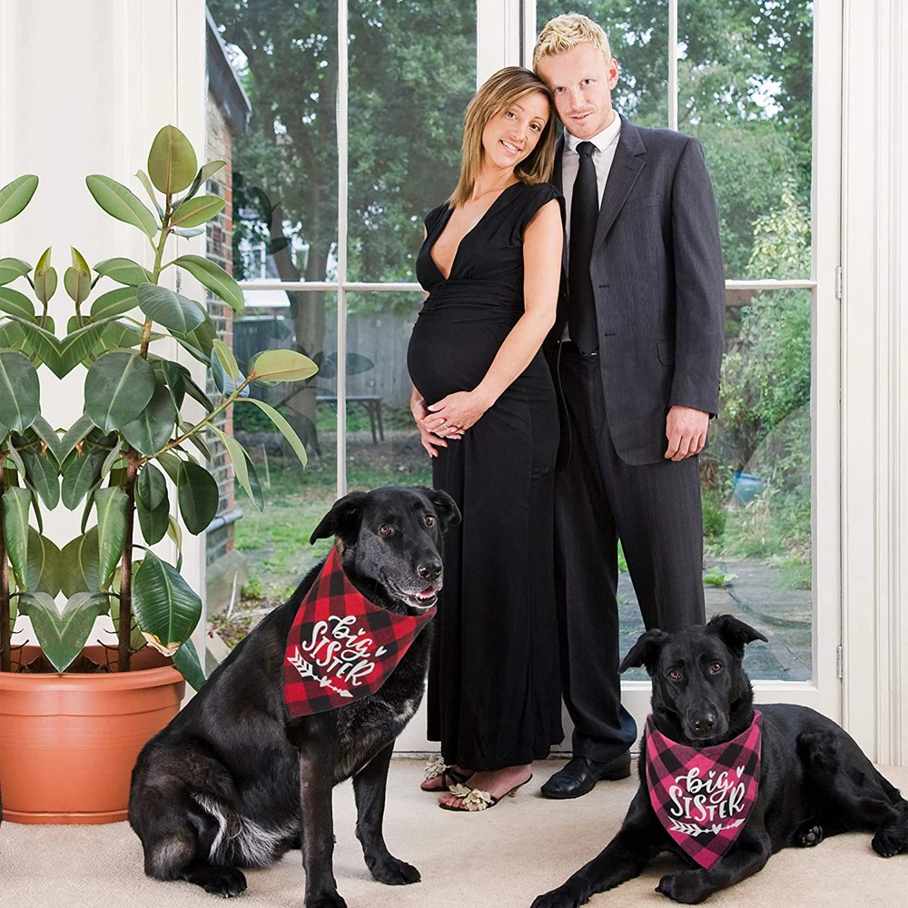 Большая сестра брат Собака Бандана Buffalo Плед треугольник шарф объявление