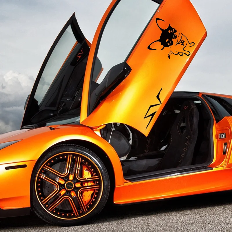 

16*11cm New Product Car Stickers Chihuahua Dog Vinyl Decal Cartoon Animal Bumper Motorcycle Funny Car Styling Graphics Jdm