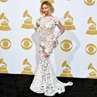 Beyonce In Lace Applique  Grammy Awards Red Carpet Celebrity Dresses Long Sleeve Sheer Evening Backless Prom Gowns