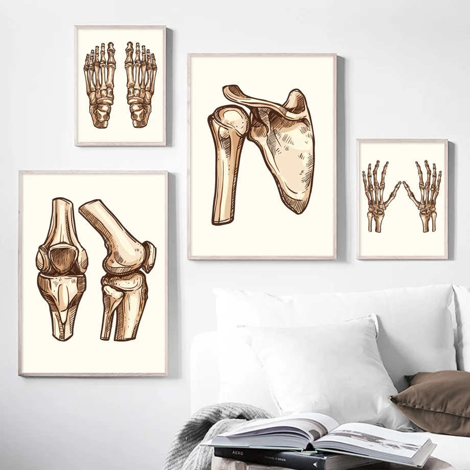 Картина на холсте легкие палец Череп костные суставы Анатомия человека