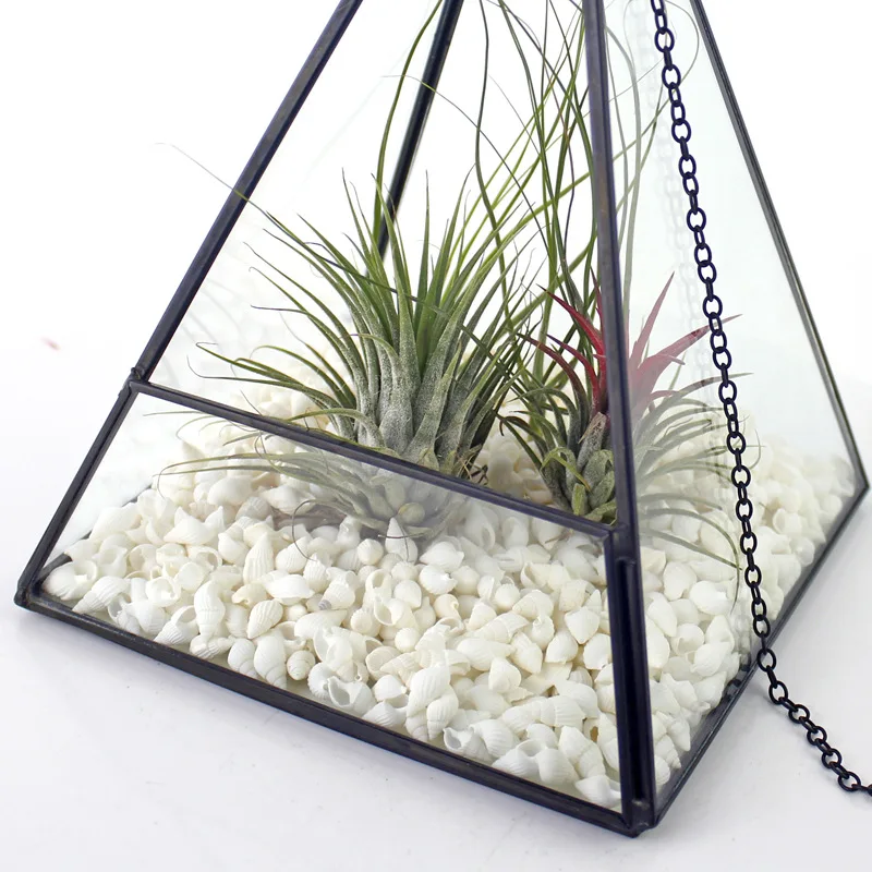 

Hanging glass flower room Glass Storage Box Everlasting flower Box House Plants Flower Home Decoration