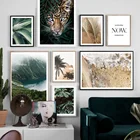 Monstera Agave, Пальмовые Листья, кокосовое дерево, гепард, настенная Картина на холсте, скандинавские плакаты и принты, настенные картины для гостиной