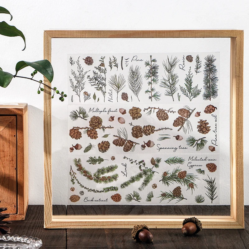 6 шт./упак. натуральных растений образец серии ПЭТ Stciker Декоративные Канцелярские