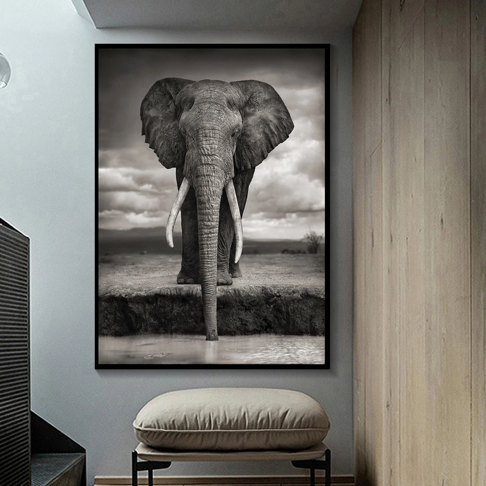 Современный скандинавский Африканский высокий слон черно белый животный