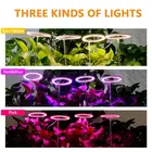 Светодиодный светильник с четырьмя кольцами Angel, комнатный светильник полного спектра для выращивания растений, саженцев, цветов, 5 В, USB