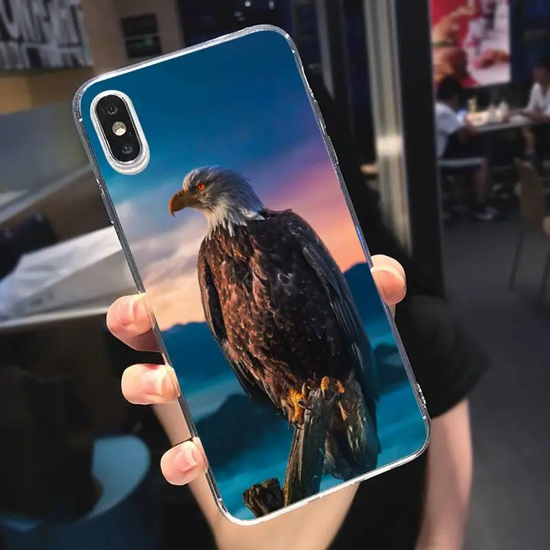 

Eagle Soaring in the sky animal Phone Case Transparent soft For iphone 5 5s 5c se 6 6s 7 8 11 12 plus mini x xs xr pro max