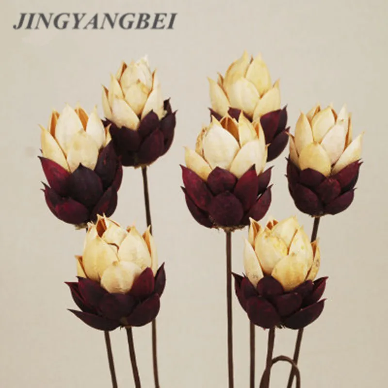 Sycamore Натуральные сушеные цветы ручной работы украшение для дома гостиной