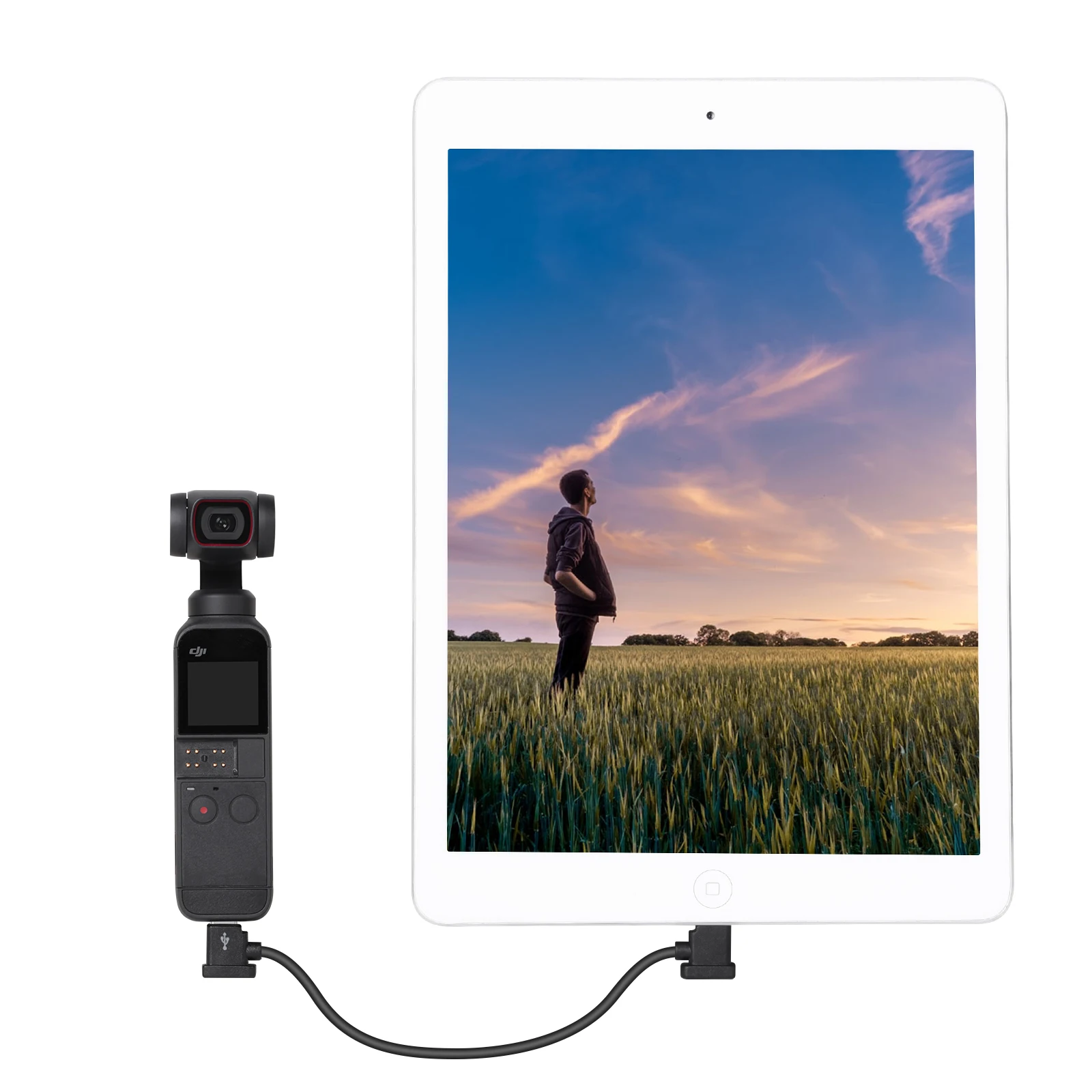 DJI fpv TYPE C Lightning/TYPE C/эффектом приближения c зарядкой Micro USB кабель для передачи