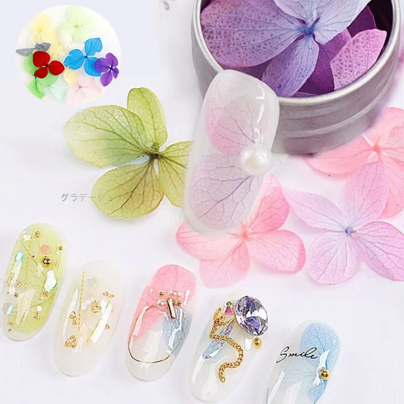 

3D Dried Flowers Nail Art Decorations Natural Pressed Floral Sticker Charms Nail Designs UV Gel Polish Nails Manicure Accessorie
