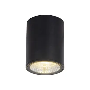 Водонепроницаемый светодиодный потолочный светильник, Ip65 CREE COB, наружное поверхностное крепление, 12 Вт, 20 Вт, 30 Вт, 85-265 В переменного тока, теплый белый, освещение для отеля, виллы, дома