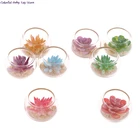 Миниатюрная стеклянная банка для кукольного домика 1:12, растения-суккуленты в горшке, игрушки, домашний декор, 26 мм х 18 мм