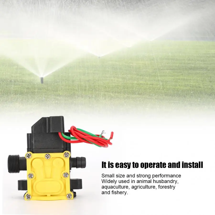 12V мембранный насос сельскохозяйственный садовый Электрический распылитель