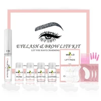 2 in 1 diy perm eyebrow lift eyelash curling kit eyebrow and lash lamination kit for lashes and brows makeup tool kits