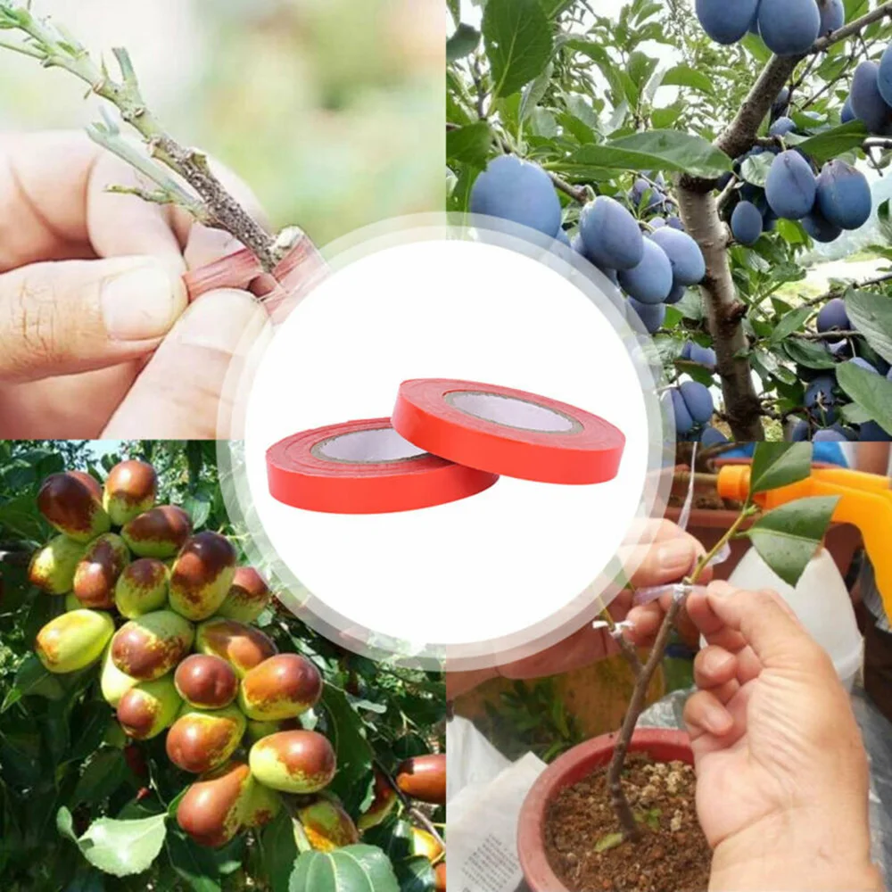 

Garden Plant Tying Tapes 1.1cm*30m Tomato Grape Flower Plant Tying Tape