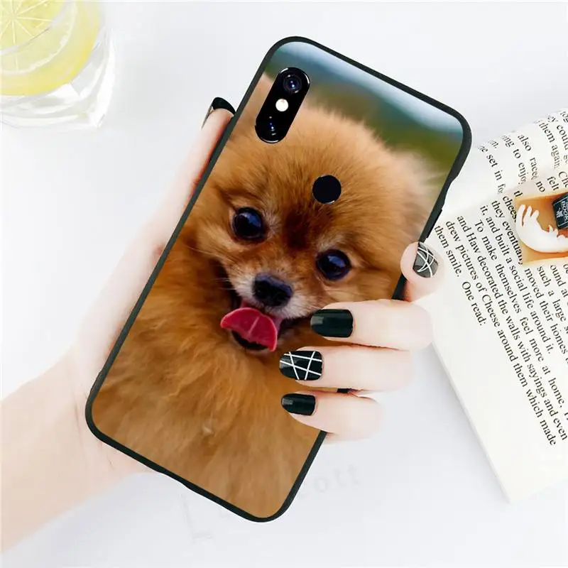 

Pomeranian Pomcute dog high quality Phone Case coque For Xiaomi Mi A1 A2 5 6 6PLUS 8 9 SE Lite MIX 2 2S MAX 2 3 Pocophone F1