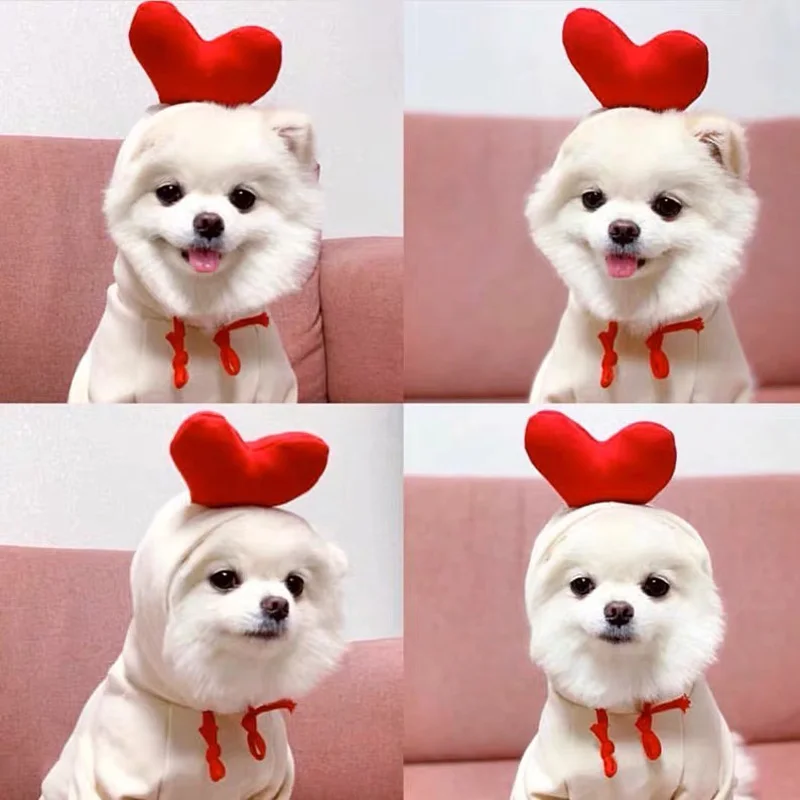 

INS Fruits Dog Clothes Winter Warm Puppy Chihuahua Coat Hoodies Small Medium Dogs Cat Jacket Pets Bulldog Costume Accessories