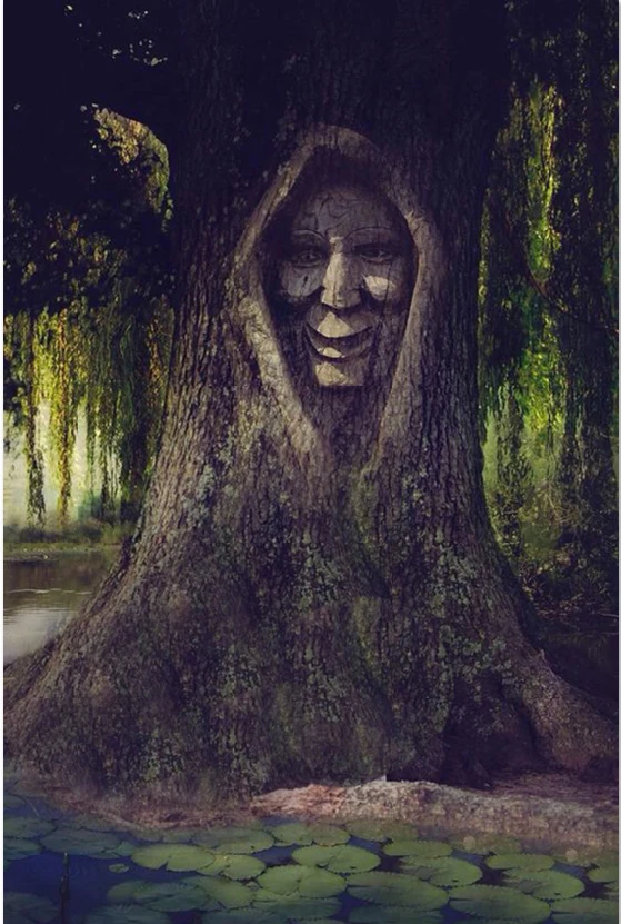 5x7FT Pocahontas принцесса фея Лес Дерево дом Лилия река пользовательские фотостудия