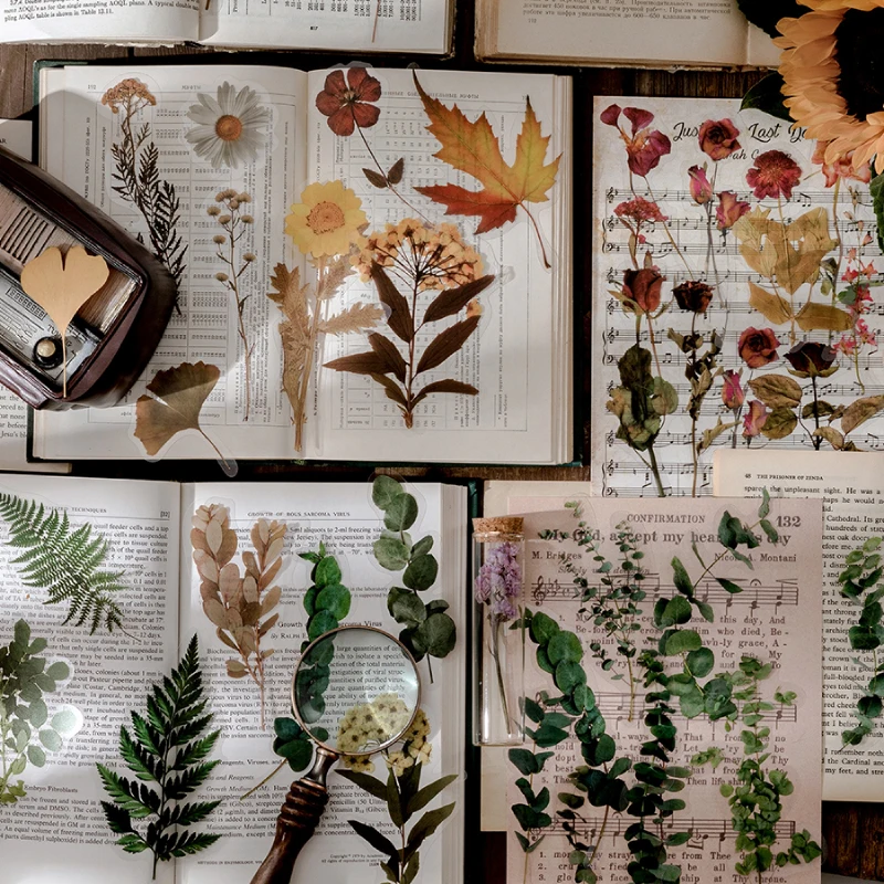 

10pcs/bag Vintage Eucalyptus Dead Leaves Rose PET Stickers Package DIY Diary Journal Decoration Label Sticker Album Scrapbooking
