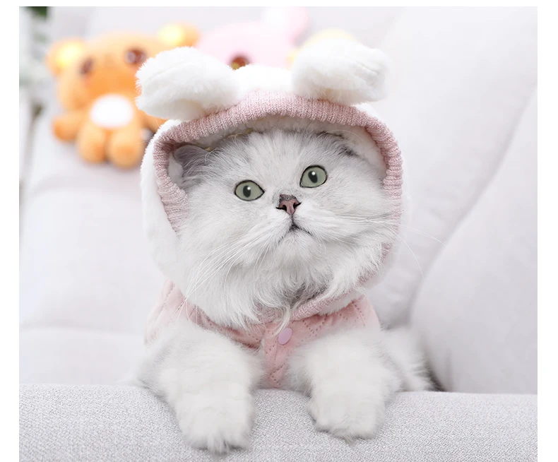 Теплая одежда для кошек HOOPET, зимняя куртка для питомцев, щенков, котят, пальто, толстовки для маленьких и средних собак, кошек, чихуахуа, одежда, костюм