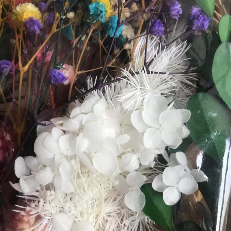 От волдырей 25 г натуральным завода по производству сухих Мульти Стиль сушеная