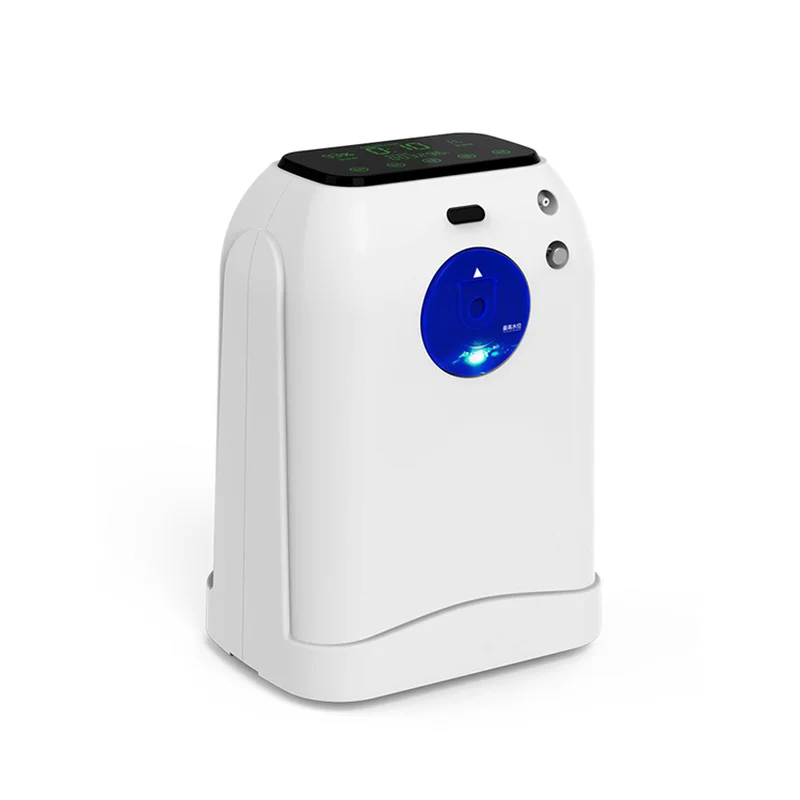 

10 L Oxygen Generator Portable Oxygen Concentrator Home Industrial Use Mini Oxygen Plant Price
