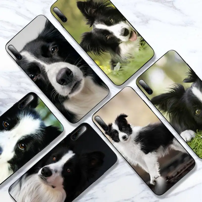 

Beautiful Fun Border Collie Dog Puppies Phone Case For Huawei P9 P10 P20 P30 P40 Lite 2016 2017 Pro SMART2019 Cover