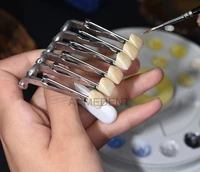 1pcs dental lab aesthetic crown veneer denture holder porcelain tools with soft head