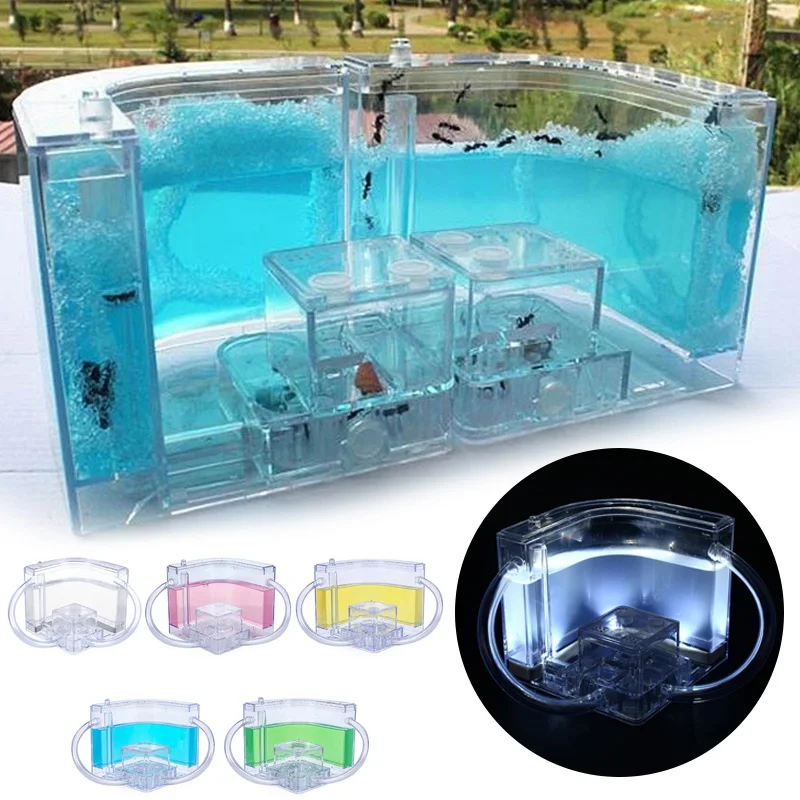 10 8 см светящийся домик для муравьев подарок детей специально забавное