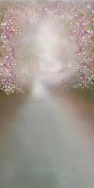 Виниловый фон для студийной фотосъемки с изображением Зачарованного сказочного