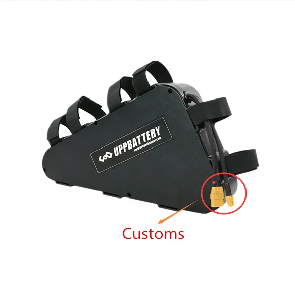 

Заводская таможня 72 в Ач литий-ионная батарея с зарядным устройством